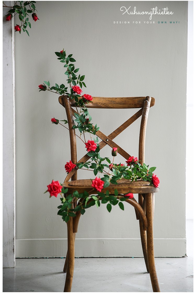 Dây hoa hồng leo dùng trong trang trí và decor