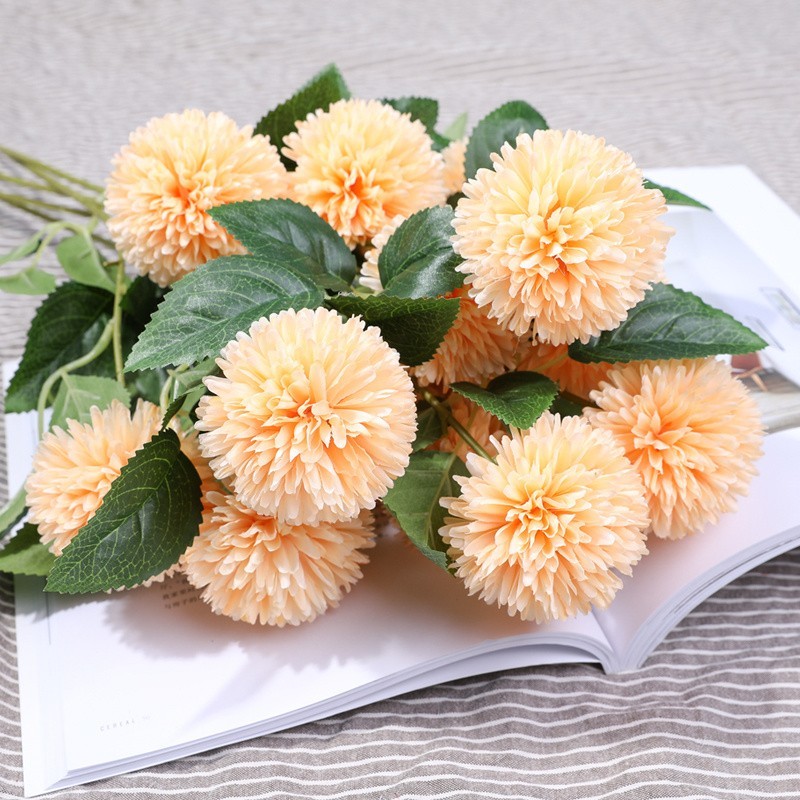 Hoa cẩm tú cầu màu cam
