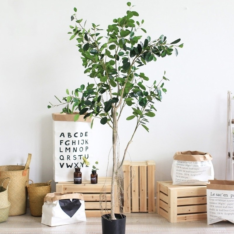 Cây xi giả trang trí không gian phòng ốc, quán cafe