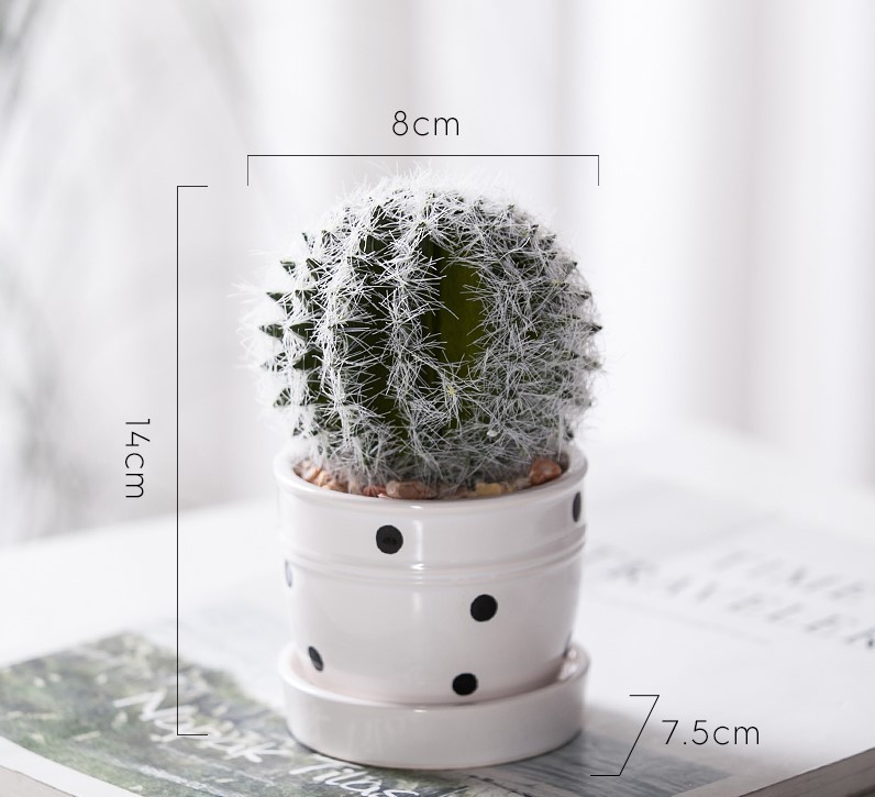 chau-cay-grow-mini-de-ban-4