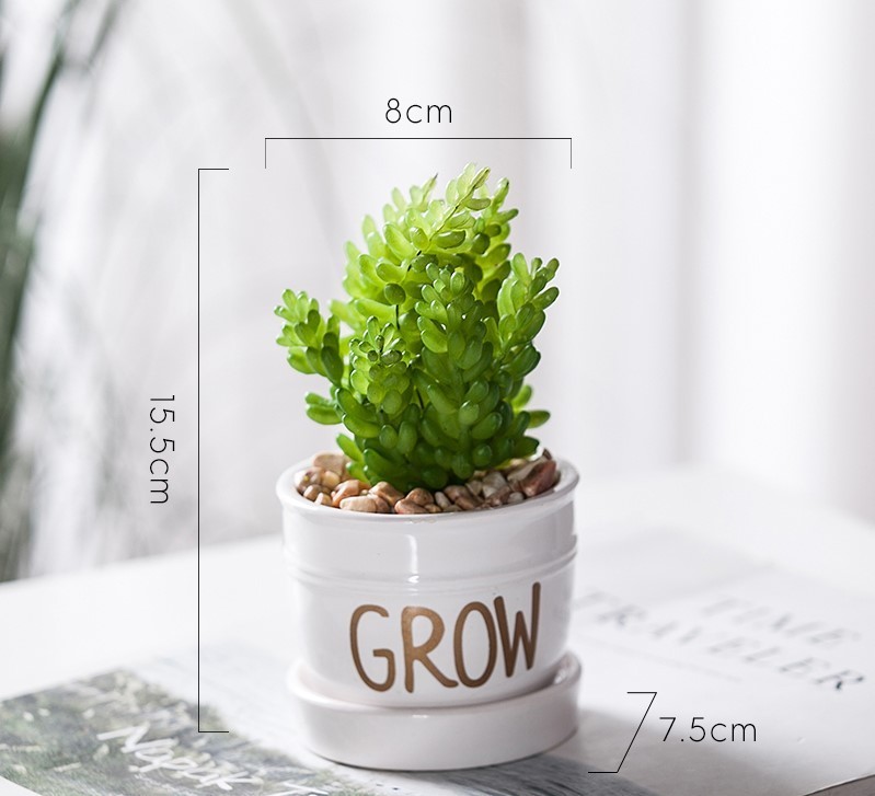 Chậu cây Grow mini mẫu D