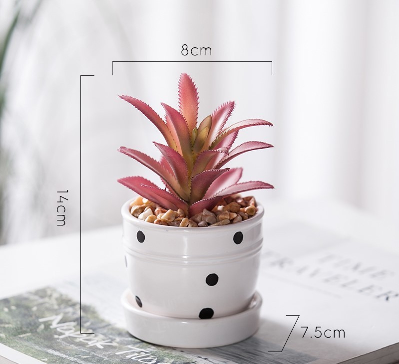 Chậu cây Grow mini mẫu C