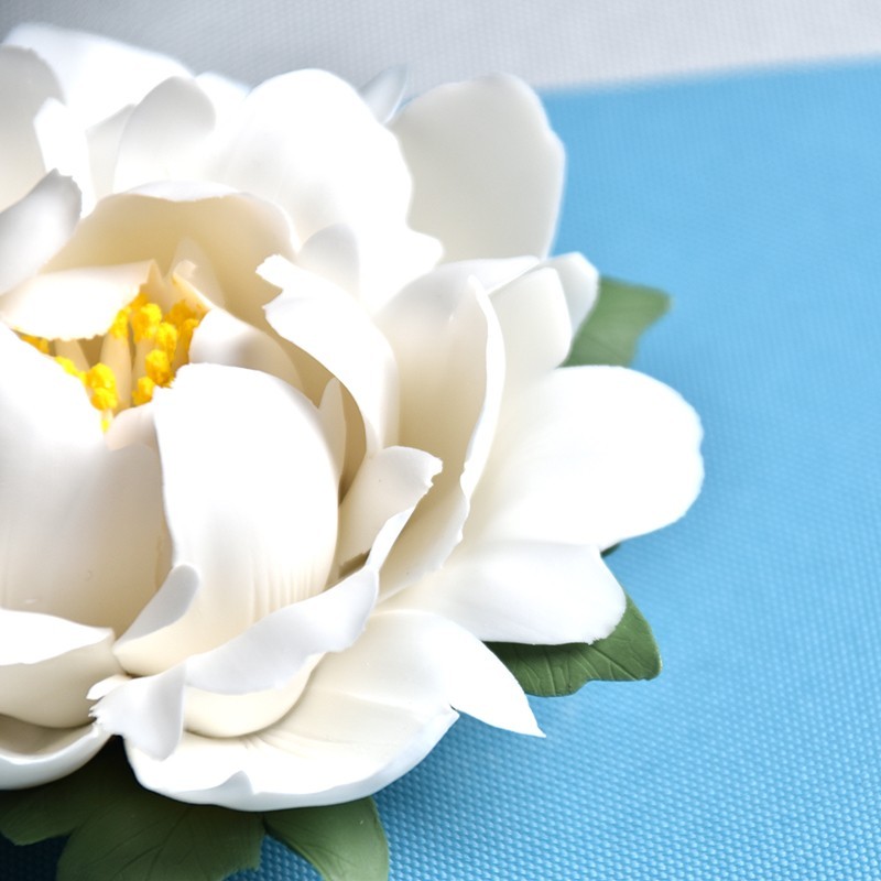Những cánh hoa được tạo hình kỹ càng, trông sống động như một đóa mẫu đơn thật