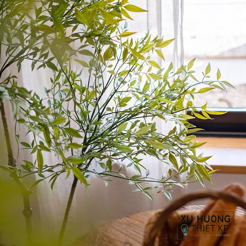 Cây Nam Thiên Trúc giả