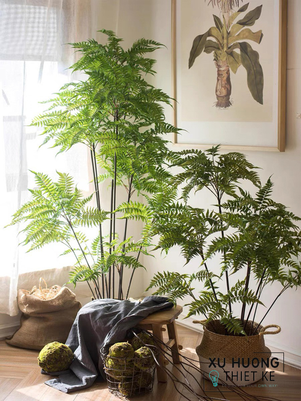 Cây Dương xỉ thủy sinh giả trang trí phòng khách