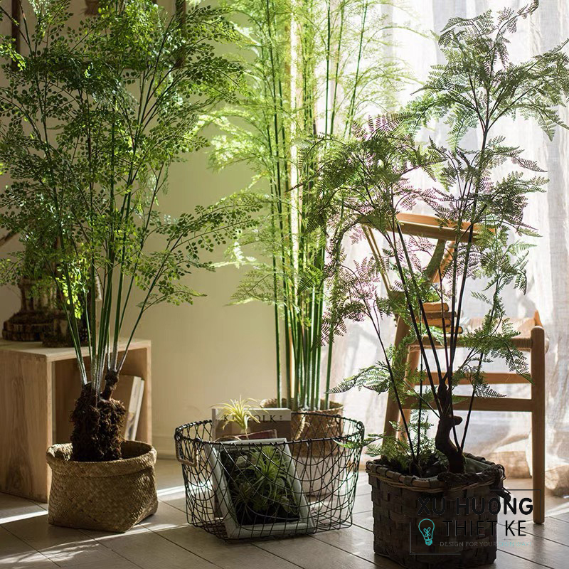 Cây Dương xỉ thủy sinh giả trang trí phòng khách