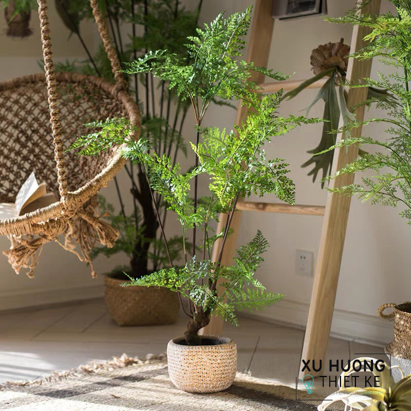 Cây Dương xỉ thủy sinh giả trang trí phòng khách