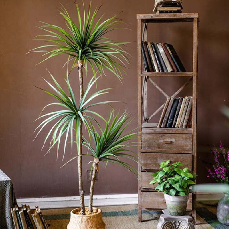 Cây Phất Dụ mảnh giả