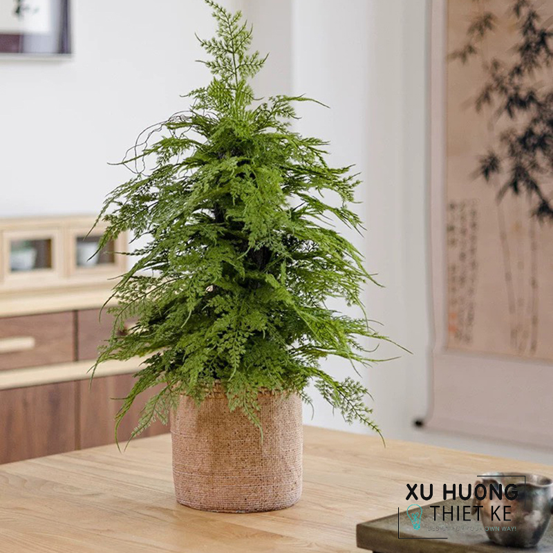 Cây bách xanh giả