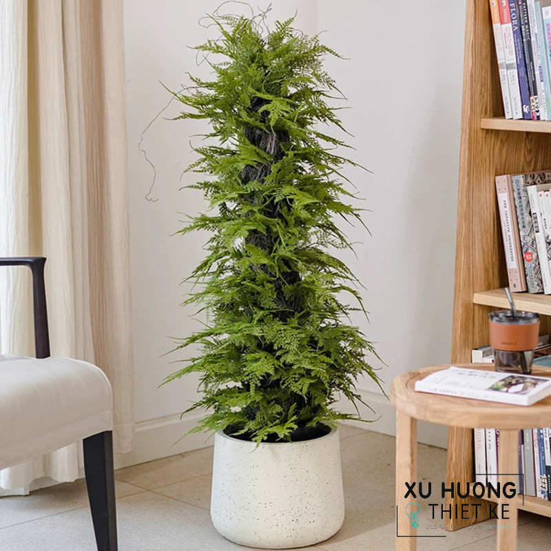 Cây bách xanh giả