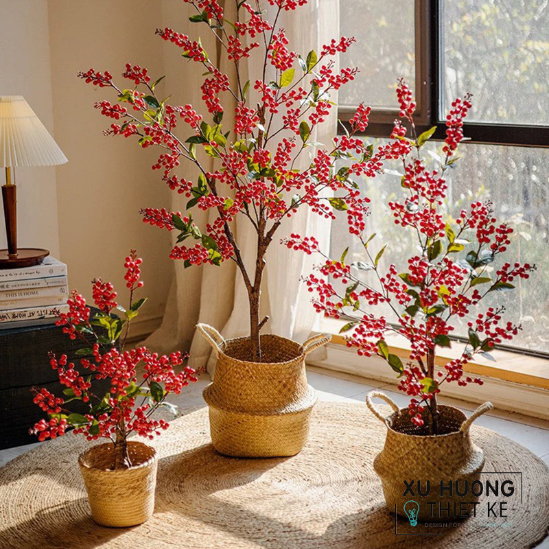 Cây cherry Mỹ giả