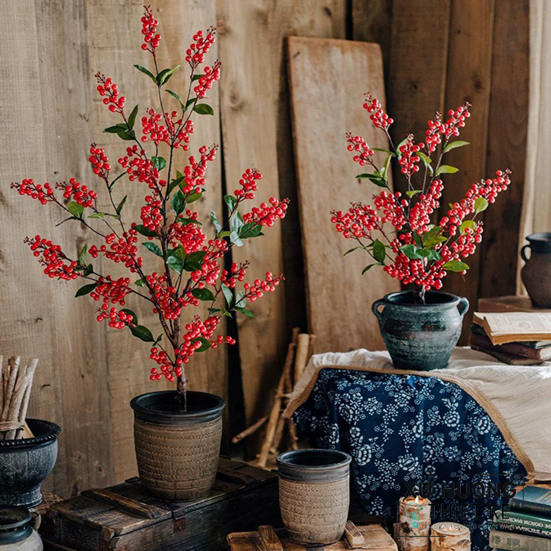 Cây cherry Mỹ giả