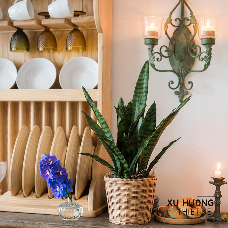 Cây lưỡi hổ giả