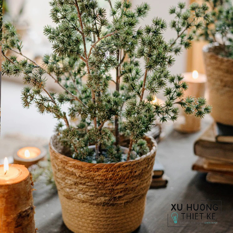 Cây Thông Noel giả