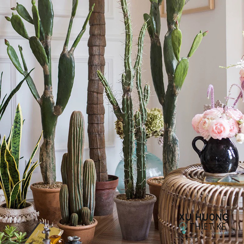 Cây xương rồng giả trang trí quán cafe