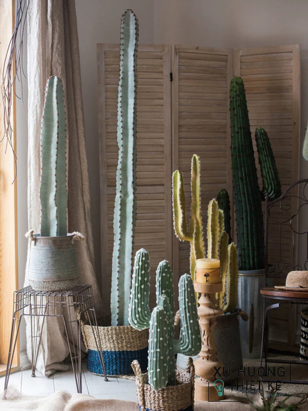 Cây xương rồng giả trang trí quán cafe