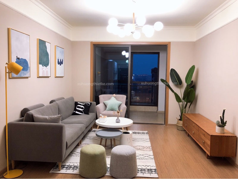 Cây chuối cảnh Singapore