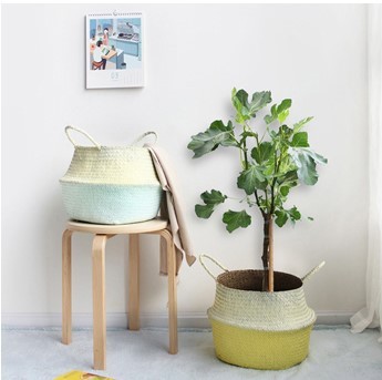 Giỏ cói trồng cây