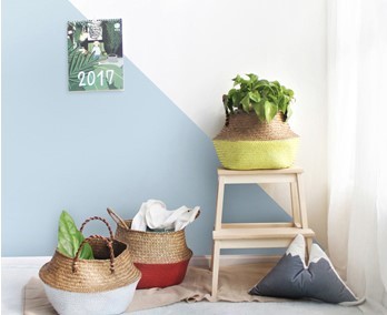 Giỏ cói trồng cây