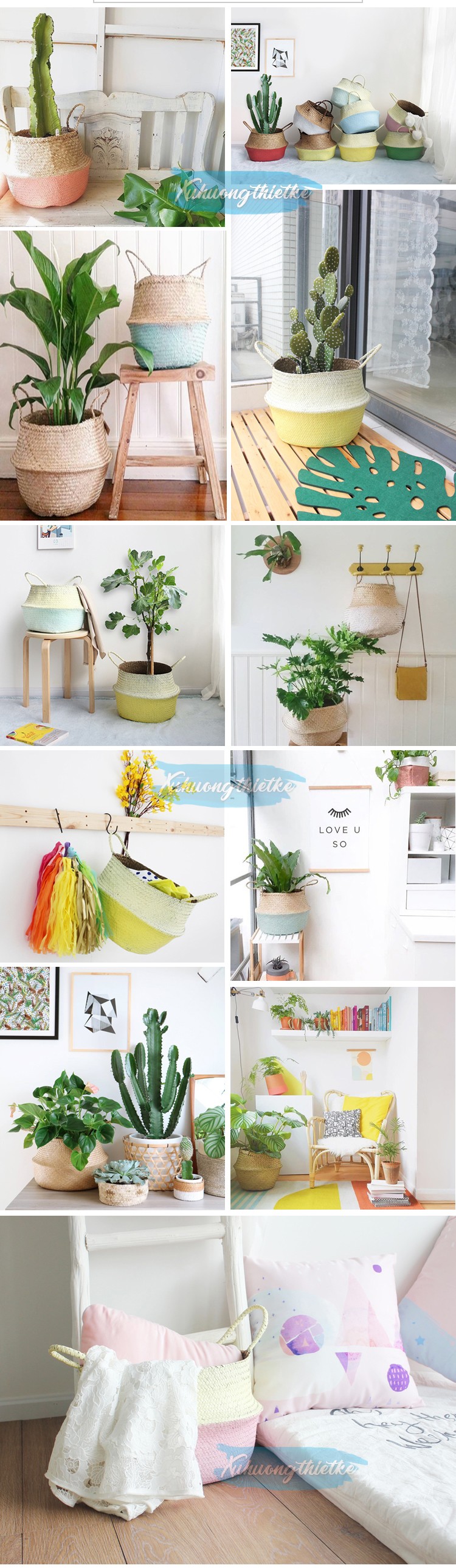 Giỏ cói trồng cây