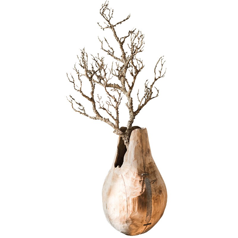 Cành cây gỗ khô