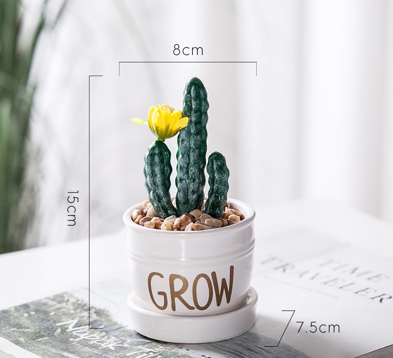 Chậu cây cảnh Grow mini để bàn