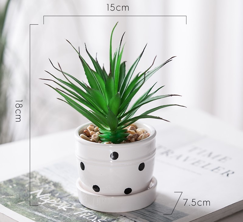 Chậu cây cảnh Grow mini để bàn