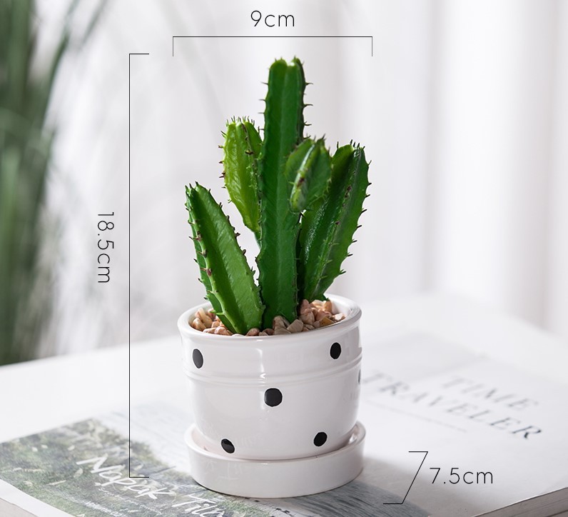 Chậu cây cảnh Grow mini để bàn