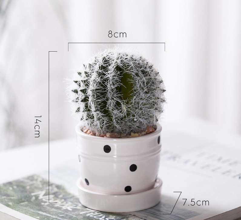 Chậu cây cảnh Grow mini để bàn