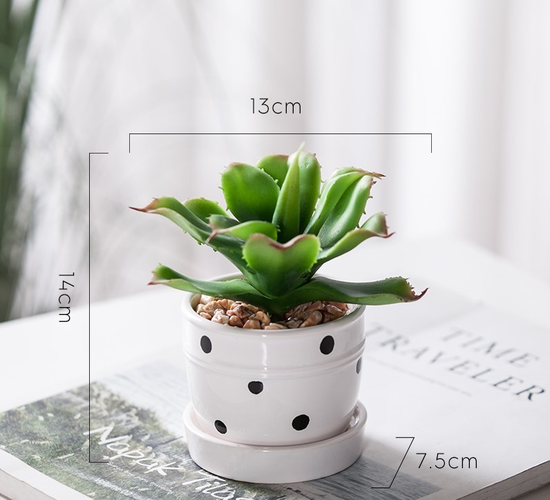 Chậu cây cảnh Grow mini để bàn