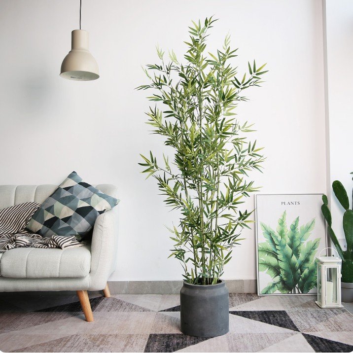 Chậu cây trúc giả trang trí