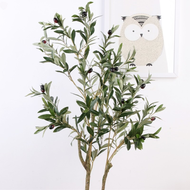 Cây ô liu giả (loại 2 nhánh)