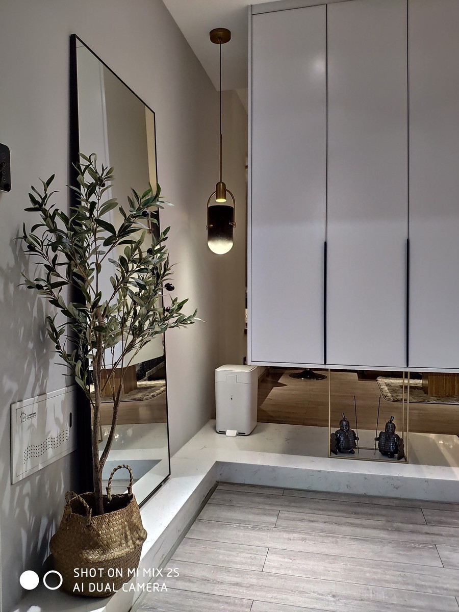 Cây ô liu giả (loại 2 nhánh)