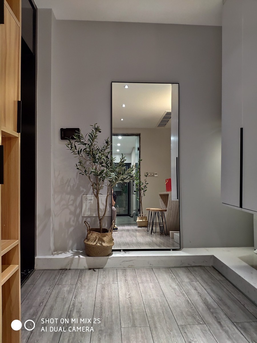 Cây ô liu giả (loại 2 nhánh)