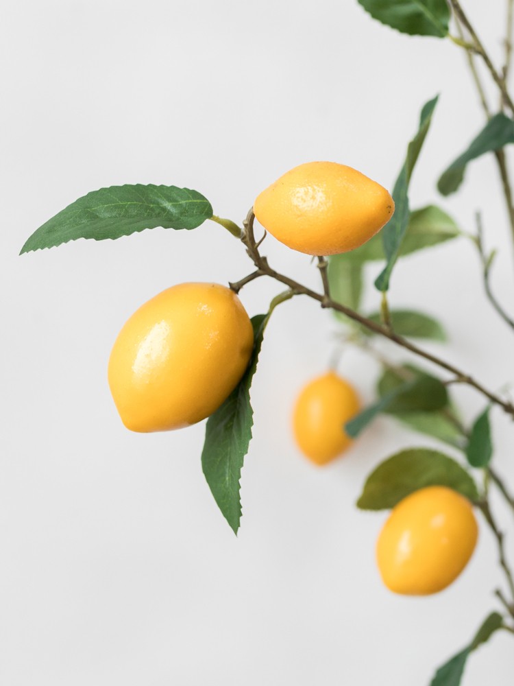 Cây chanh giả trang trí