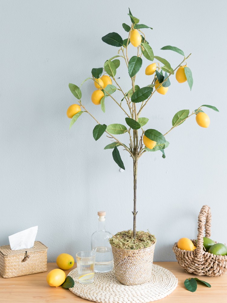 Cây chanh giả trang trí