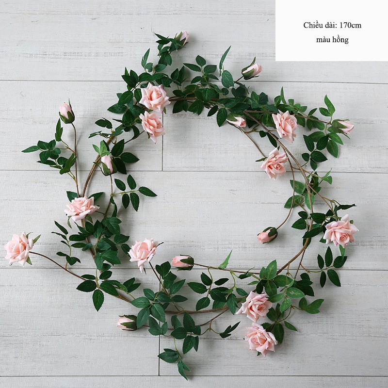 Dây hoa hồng leo trang trí