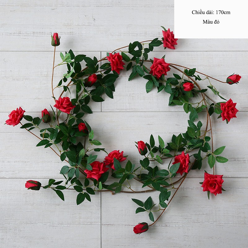 Dây hoa hồng leo trang trí