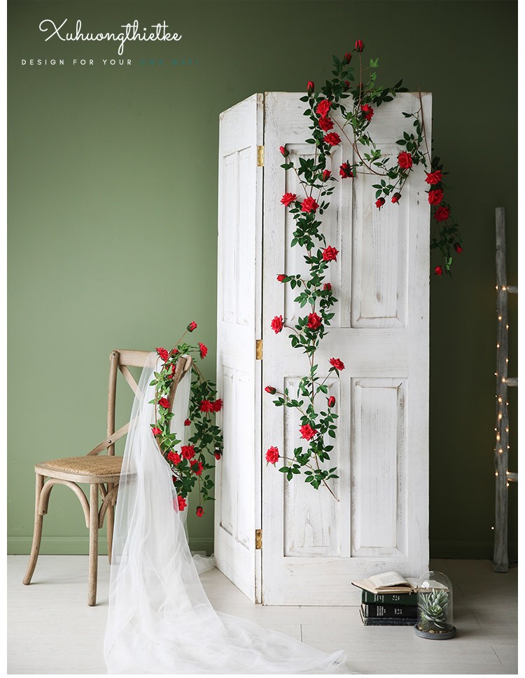 Dây hoa hồng leo trang trí