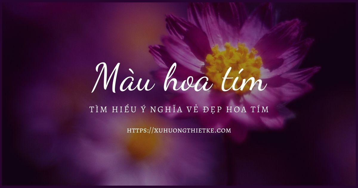 Tìm hiểu tên và ý nghĩa các loài hoa màu...