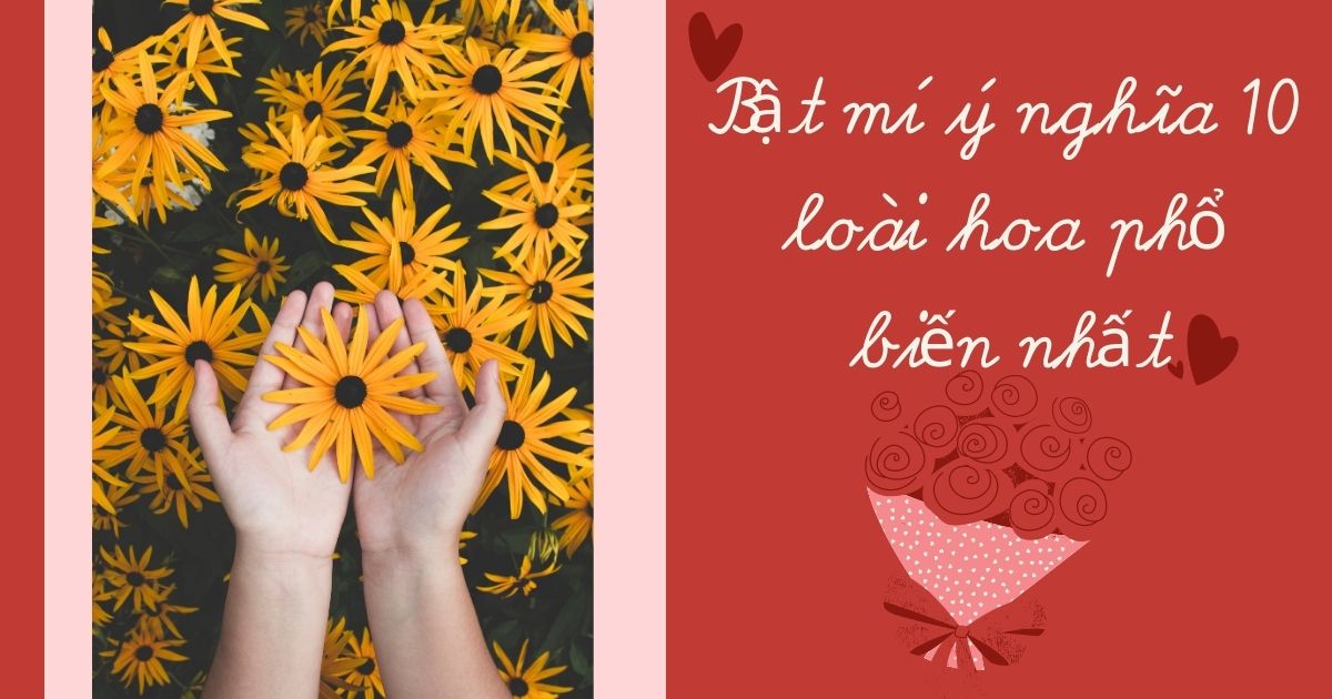 Bật mí ý nghĩa 10 loài hoa phổ biến nhất