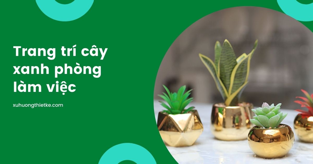 Trang trí cây xanh trên bàn làm việc, chọn thế...