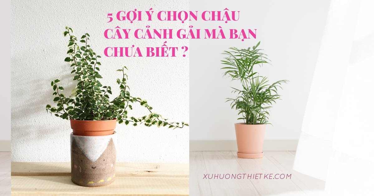 5 gợi ý chọn chậu cây cảnh giả mà bạn...