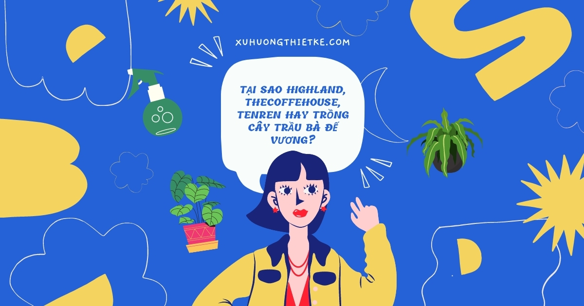 Tại sao HighLand, TheCoffeHouse, TenRen hay trồng cây trầu bà...