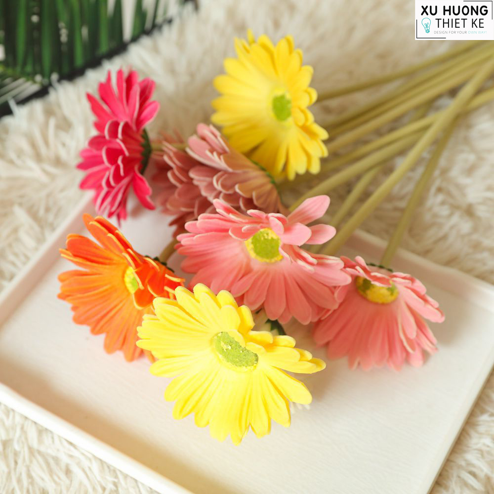 Hoa đồng tiền giả (Cành)