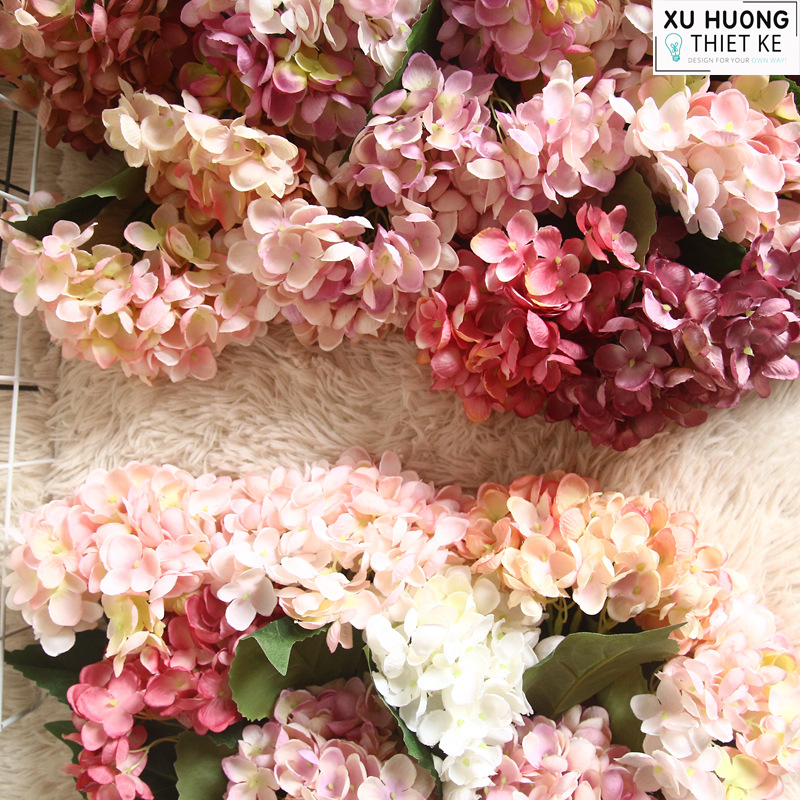 Hoa cẩm tú cầu (cành)