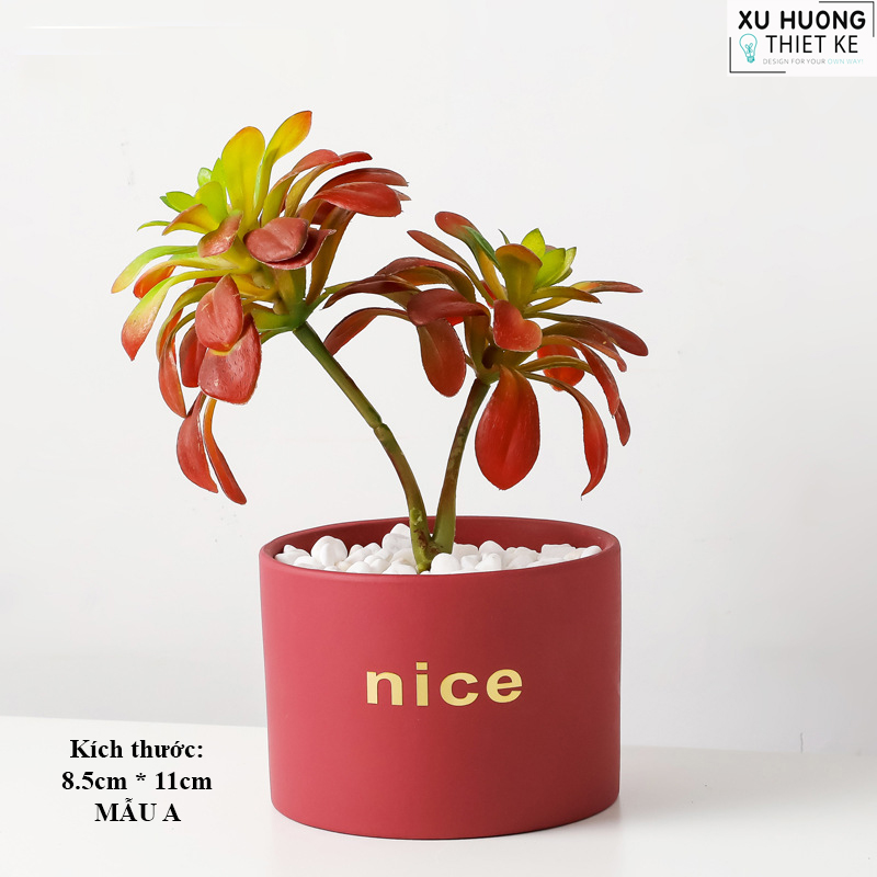Chậu cây mini classic để bàn