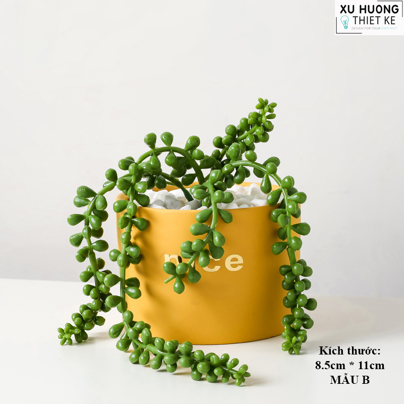 Chậu cây mini classic để bàn