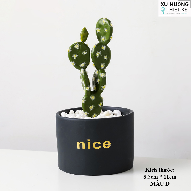 Chậu cây mini classic để bàn