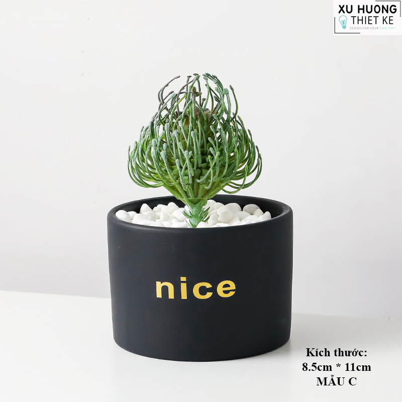 Chậu cây mini classic để bàn